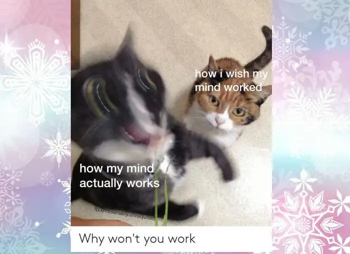Two cats mind work meme cat eating grass