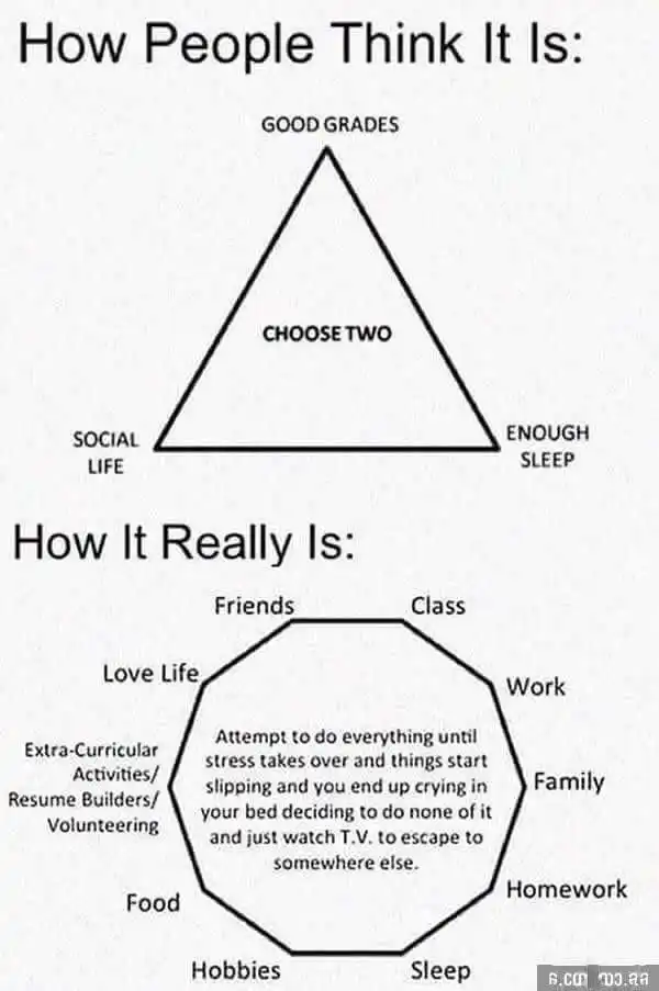Student choose two meme stressed by work