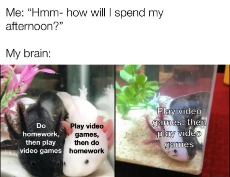 Axolotl meme skip homework to play games