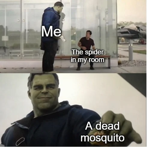 Hulk taco meme giving dead mosquito to the spider in my room
