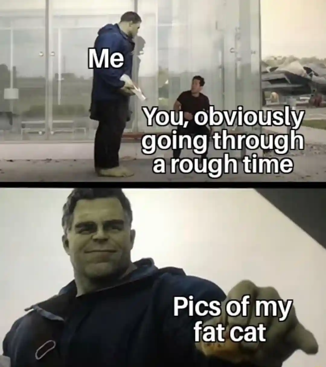 Hulk taco meme giving fat cat pics to struggling friend