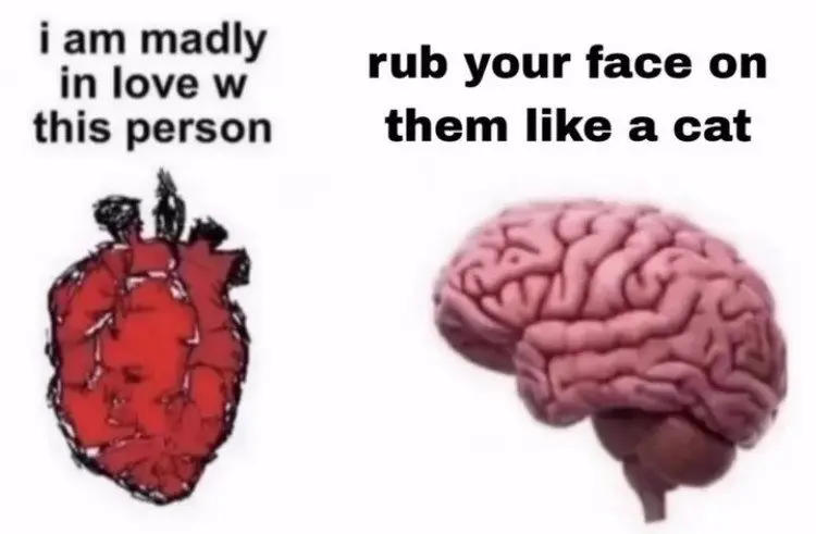 Heart Brain meme tells rub face like a cat
