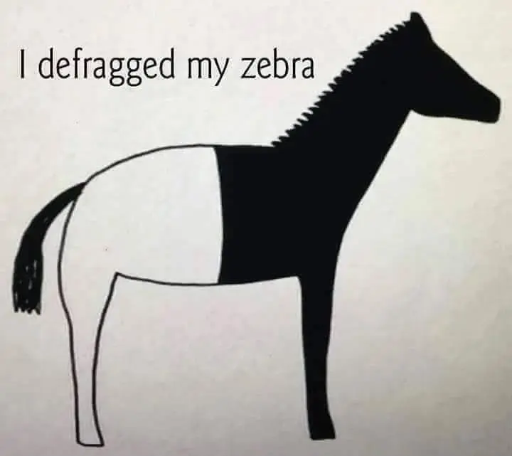 Defragged Zebra meme with no stripes