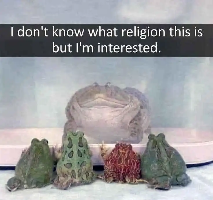 Frog cult meme interested in unknown religion
