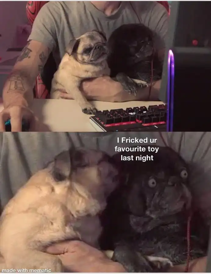 Pug Naughty Confession meme shocked other pug