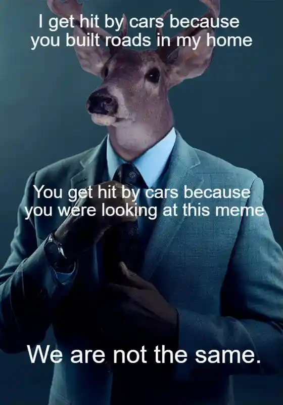 Deer hit by cars meme making funny joke