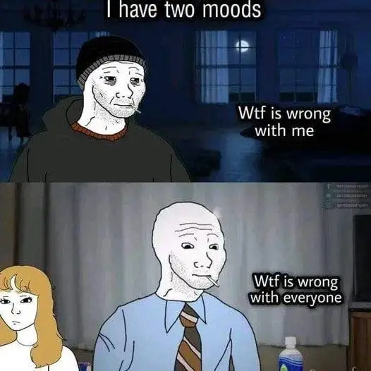 Two Moods Wojak meme with two relatable moods