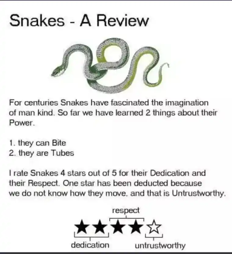 Snakes review meme giving 4 out of 5 stars