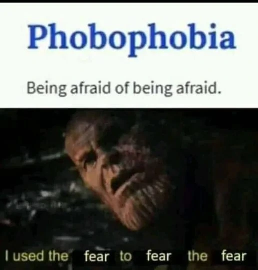 Phobophobia meme showing fear of fear itself