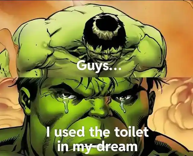 Hulk meme crying after using toilet in dream