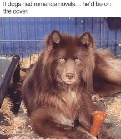 Dog romance novel cover meme stoic with bone