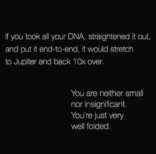 DNA fact meme saying you are well folded