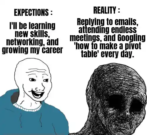 Career expectation vs reality meme showing dull office work
