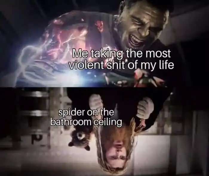 Impressed Thor meme sees you poop as spider