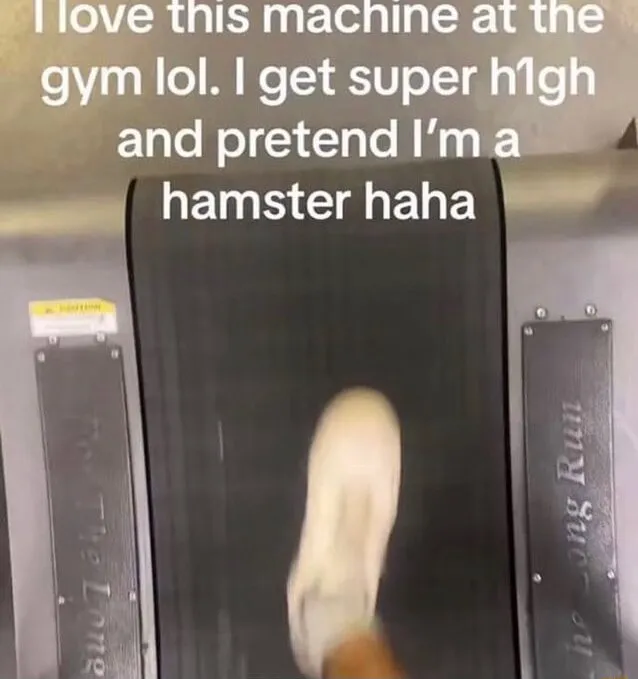 Gym Treadmill meme pretending to be a hamster