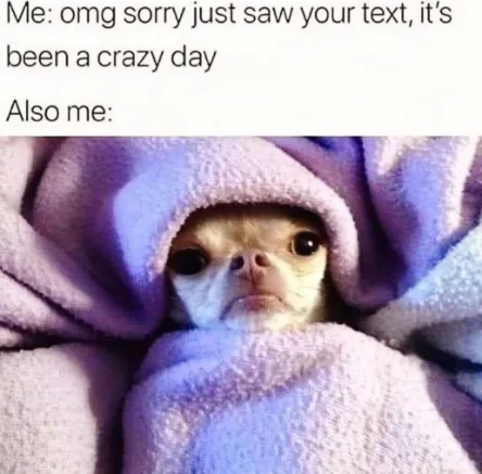 Fake Busy Excuse meme lazy wrapped in blanket