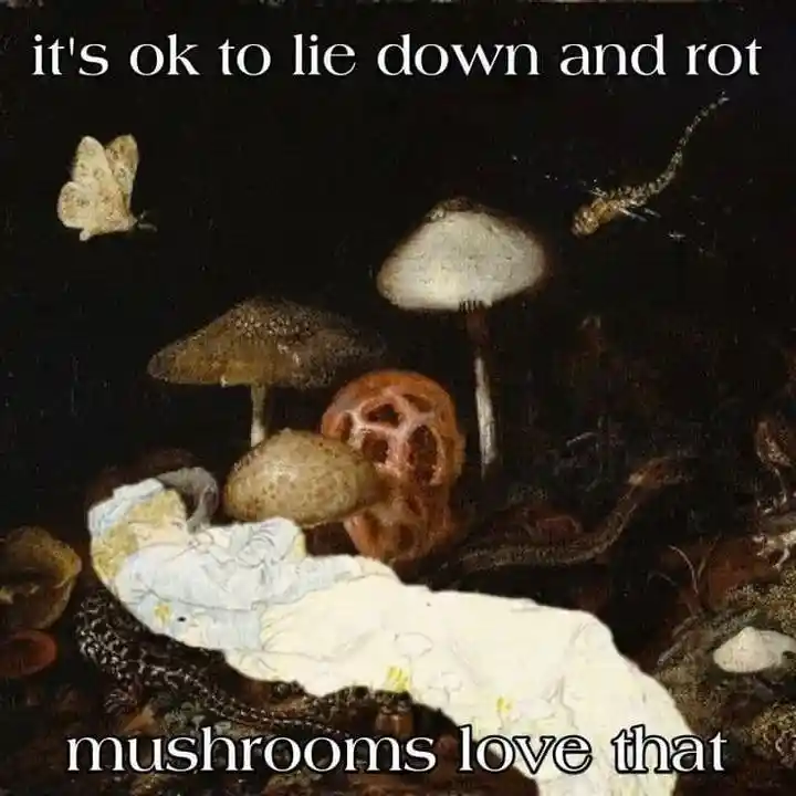 lie down and rot meme mushrooms approve