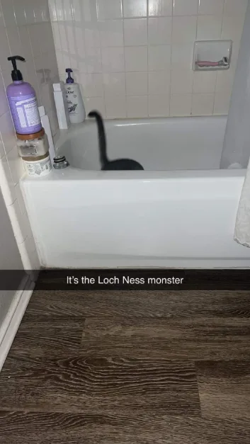 Loch Ness monster cat meme hiding in bathtub