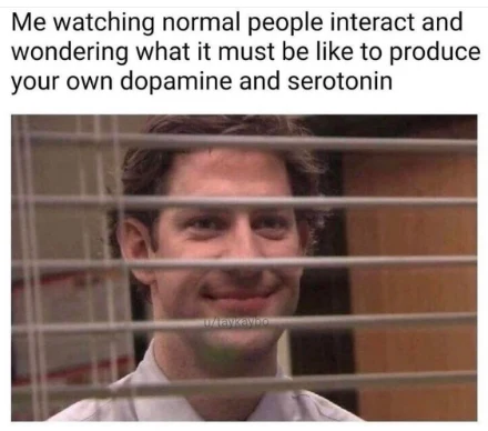 Jim through blinds meme watching others curious about dopamine