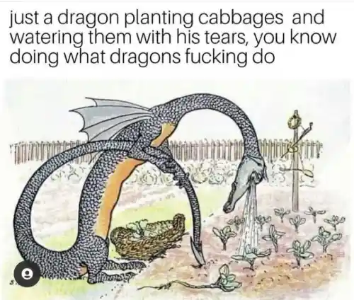 Dragon meme watering cabbages with tears