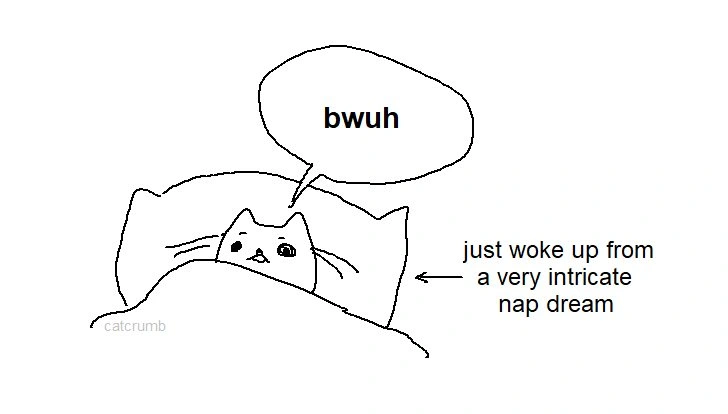 Cat waking from nap dream meme saying bwuh confused
