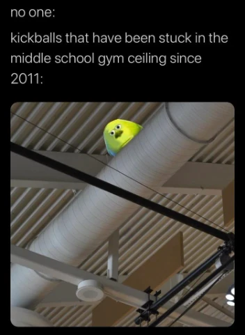 Middle school kickball meme stuck in gym vent