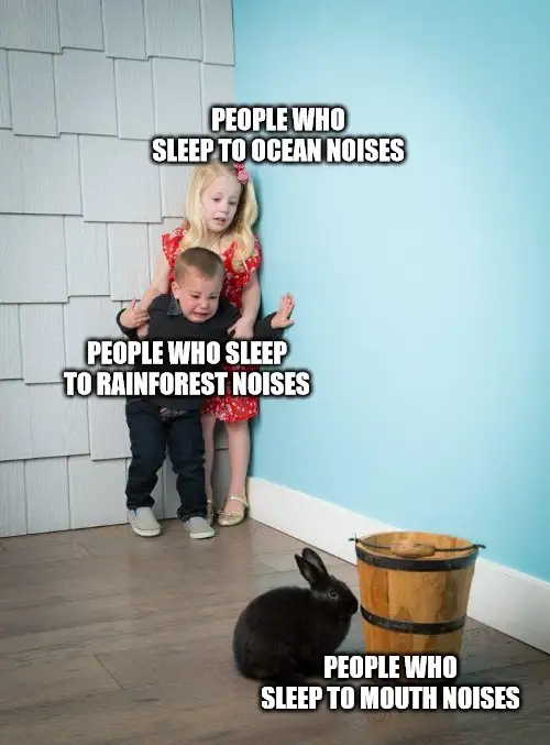 Kids afraid of rabbit meme fear mouth noise sleepers