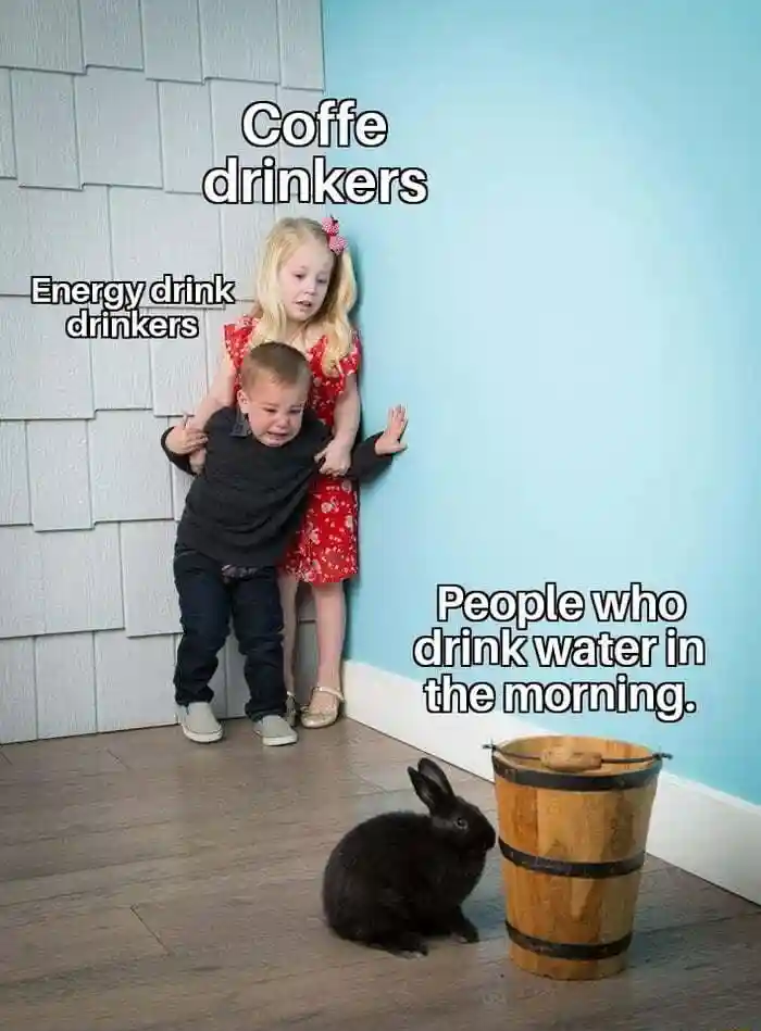 Kids afraid of rabbit meme Caffeine drinkers fear morning water