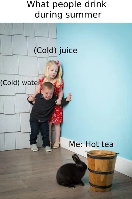 Kids afraid of rabbit meme drink hot tea in summer
