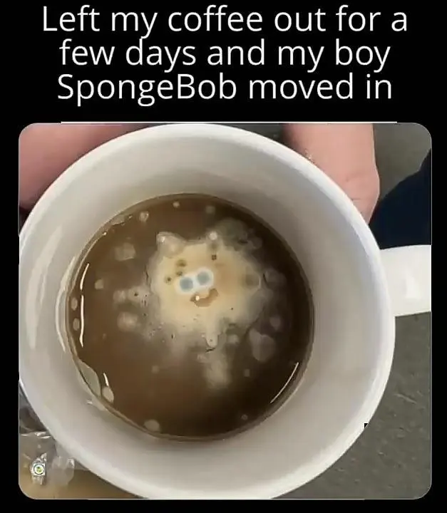 Spongebob shaped coffee mold meme forming in days old coffee