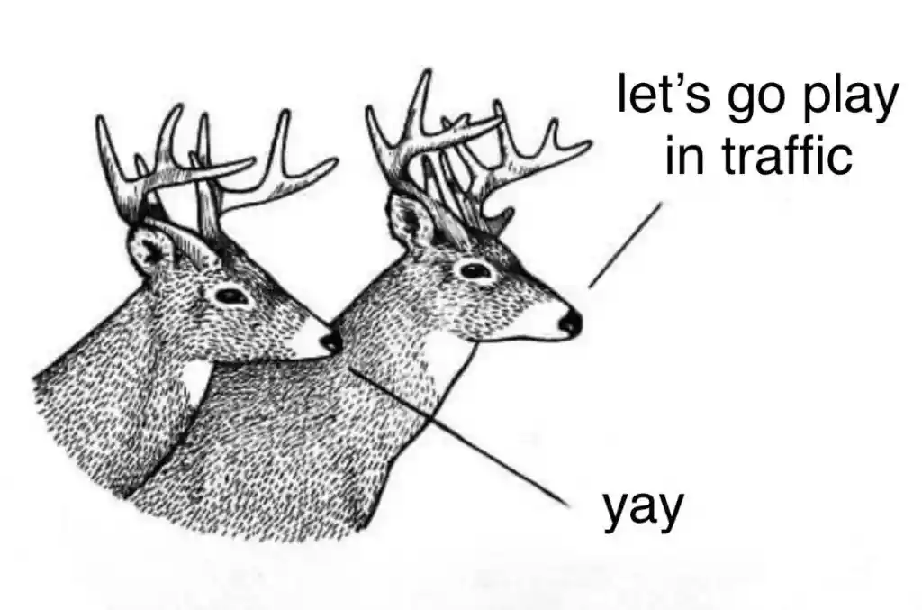 Two Deer meme play in traffic joyfully