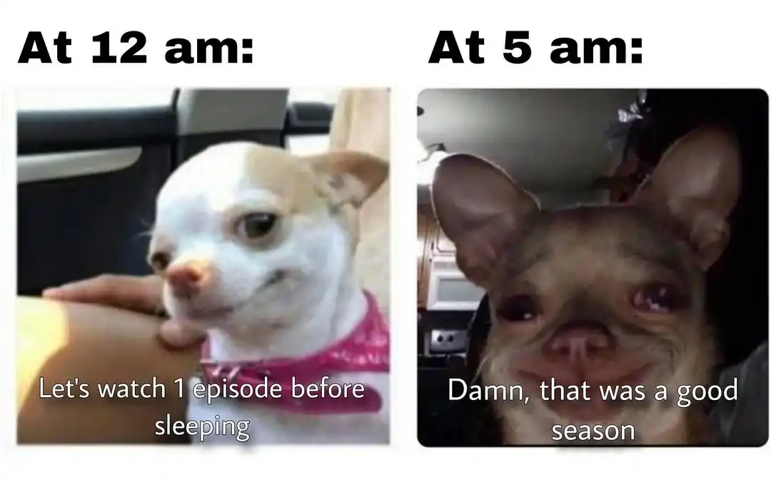 Tv Binge meme staying up till 5am tired