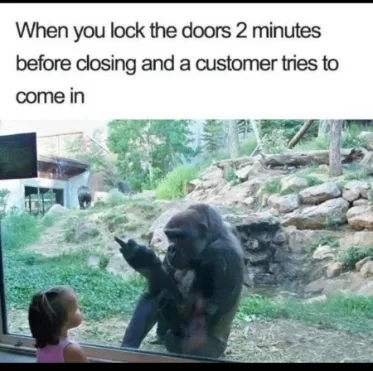 Closing time gorilla meme ignoring customer