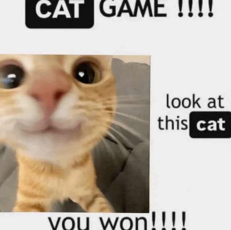 Cat game meme you won by looking at this cat
