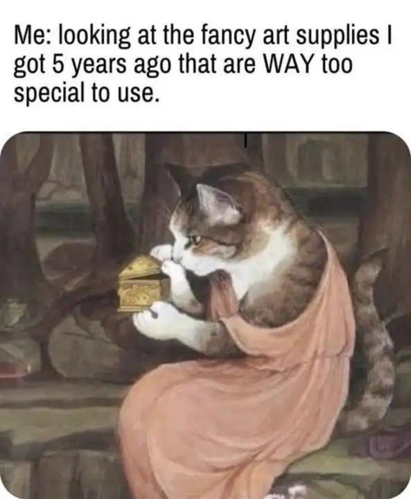 Fancy unused art supplies meme cat loving old items