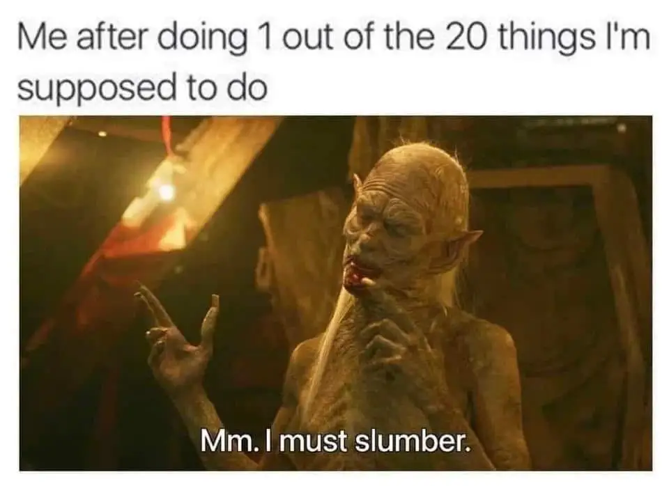 After doing 1 out of 20 tasks meme saying I must slumber