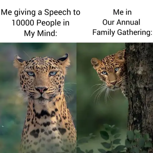 Leopard meme speech vs shy family gathering