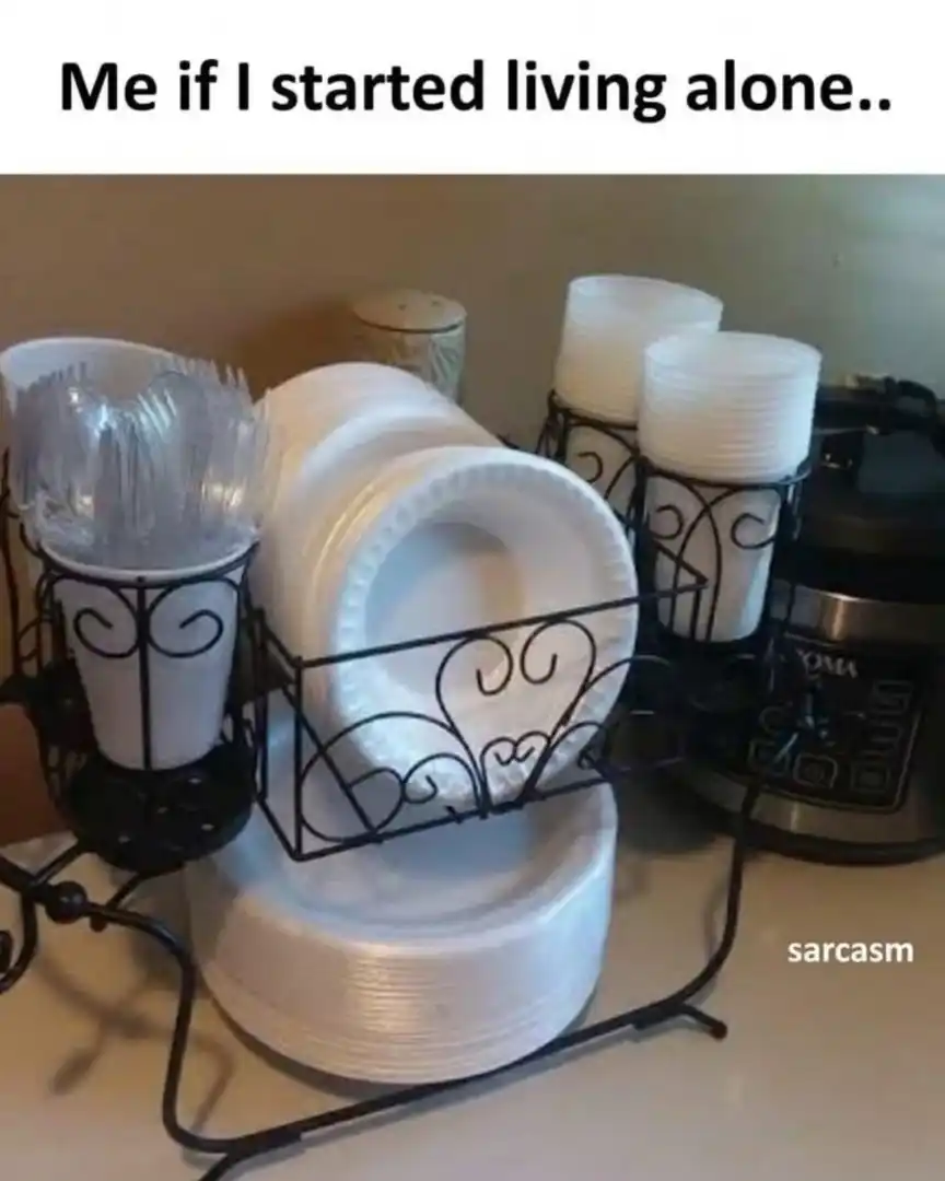 Living alone meme no washing dishes lazy