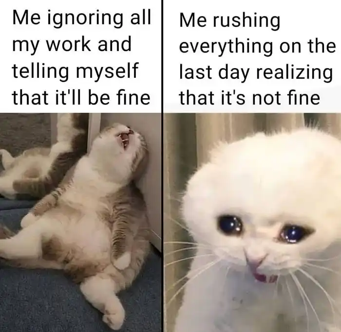 Procrastination meme panicking work deadline