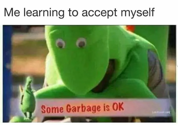 Me learning to accept myself meme with some garbage is ok