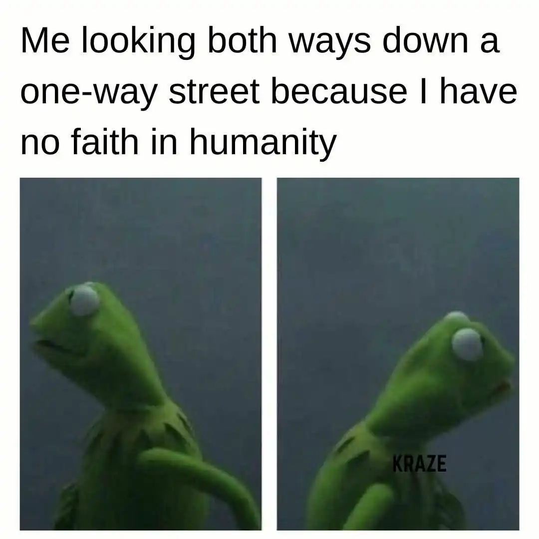 Kermit meme looking both ways down one way street