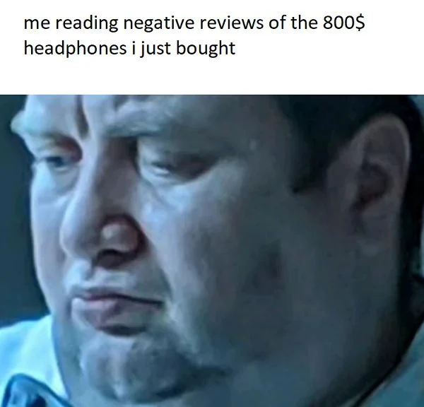 Reading negative reviews of 800$ headphones meme looking sad