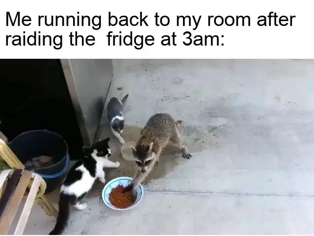 3am Fridge Raid meme sneaking back home