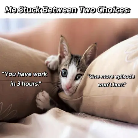 Stuck cat meme picking work vs 1 more episode