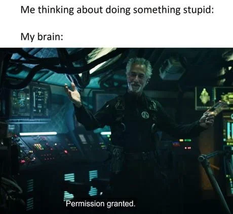 Permission granted meme approving stupid acts