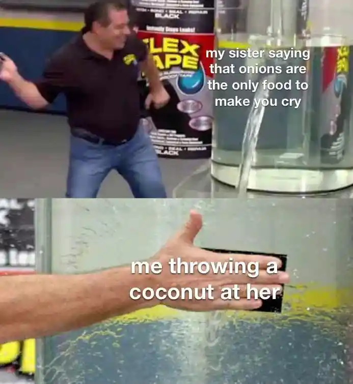 Onion cry meme, throw coconut at sister