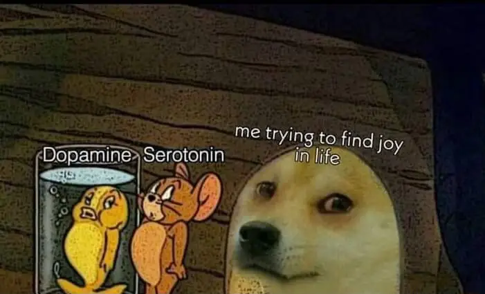 Dopamine Serotonin meme finding joy in life