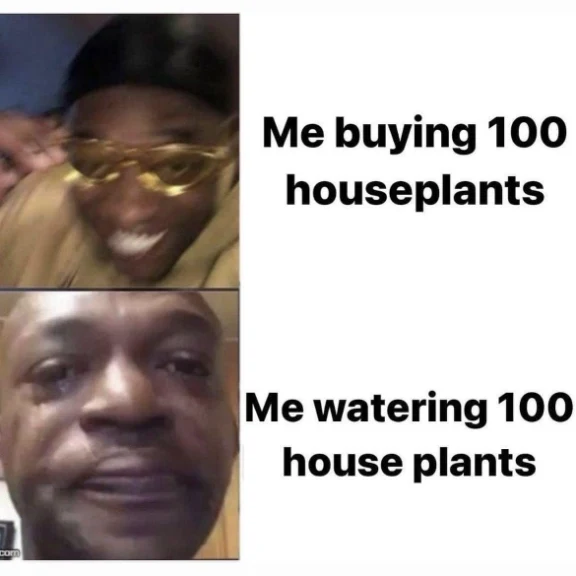Buying 100 houseplants meme sad when watering