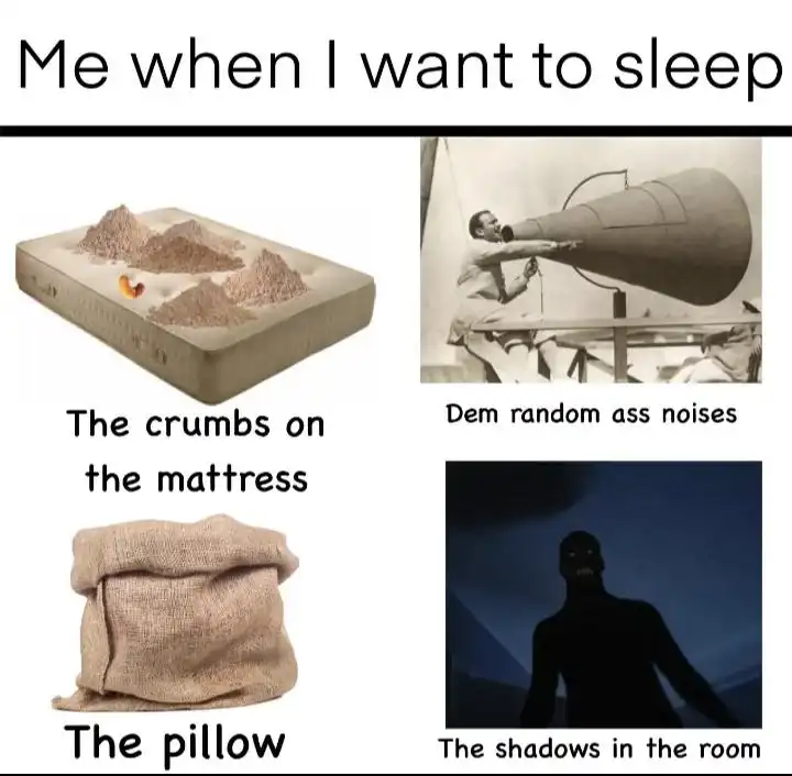 Sleep Struggles meme annoyed by random night distractions