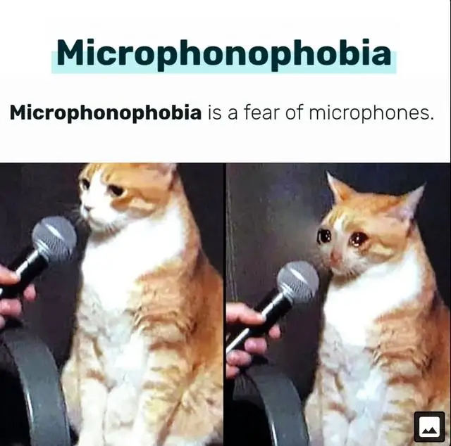 Cat meme with microphonophobia crying at mic